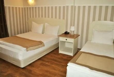 Alexander Palace - 6