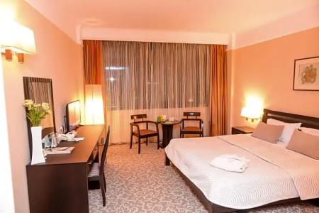 Mercure Sofia Festa - 79