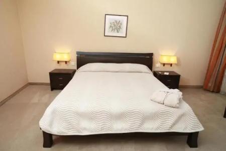 Mercure Sofia Festa - 98