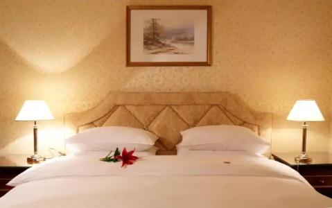 Luxury in The Forest - 32