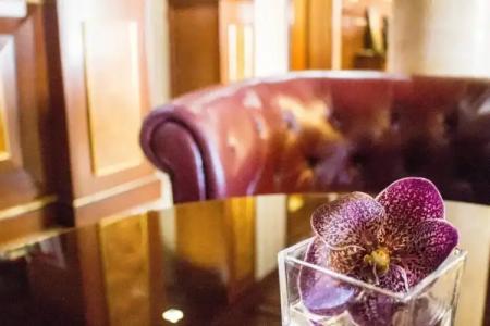 Luxury in The Forest - 11