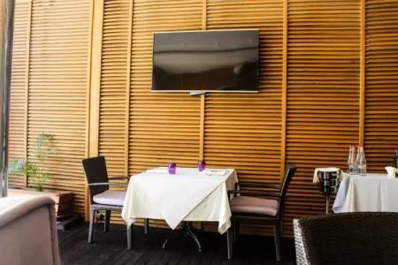 Luxury in The Forest - 22