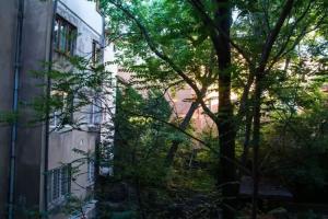 Peter Pan Hostel, Sofia