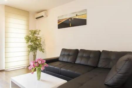 Vitosha Downtown Apartments - 0