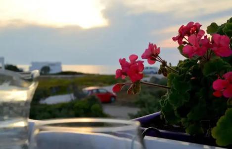 Heliotropio Studios & Apartments - 36