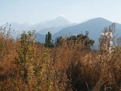 Guest House Discovery - 30