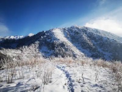 Guest House Discovery - 31