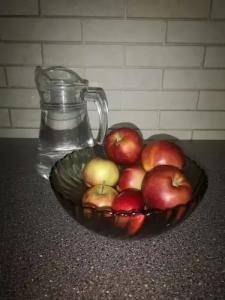 Guest House Discovery - 24