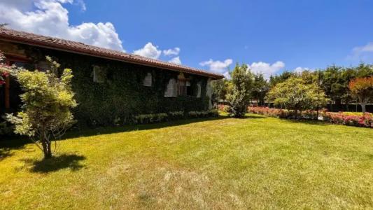 Sile Gardens & Spa - 113