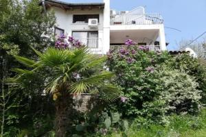 Guest House Fanny, Sinemorets