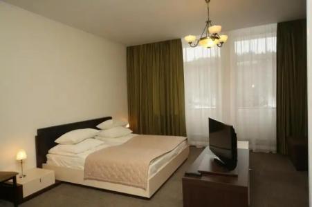 Orchestra Oka Spa Resort - 36