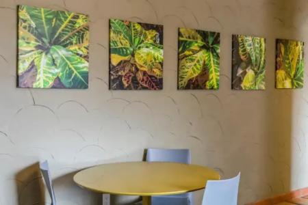 Kasa El Paseo Miami Beach - 19