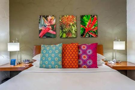 Kasa El Paseo Miami Beach - 185