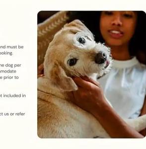 Kasa El Paseo Miami Beach - 44