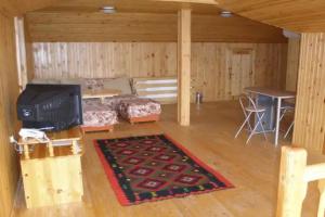 Argo Hotel, Ribarica