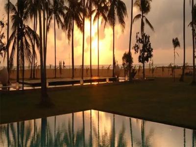 Pegasus Reef - A Beach Resort in Colombo - 8