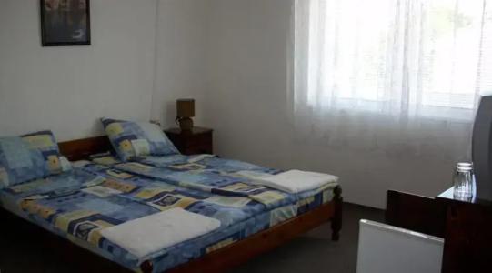 Guest House Alarlievi - 4