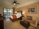 Luxury Suite