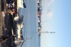 Magnolia Guest Rooms