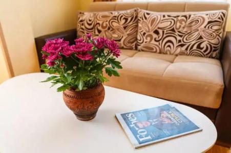 Avion - Self check in - 26