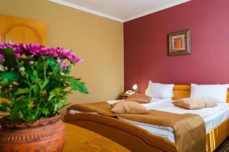 Avion - Self check in - 44