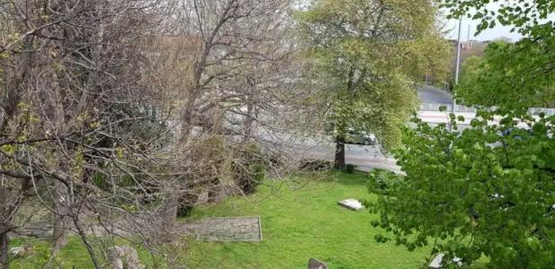 Restaurant Odeon - 8