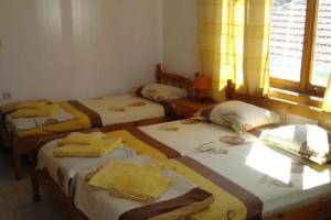 Pension Dicev, Obzor