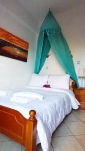 Virginia Studios - 0