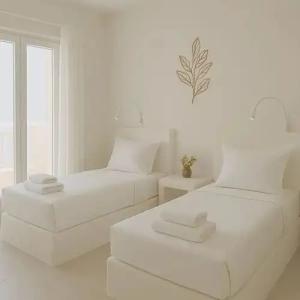 Virginia Studios - 33