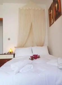 Virginia Studios - 5