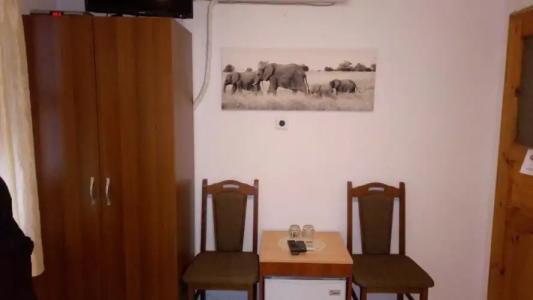 Mario & Complex - 16