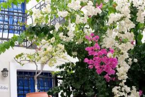 Kykladonisia Traditional Settlement, Fira