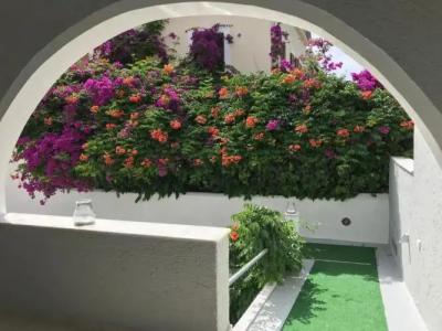 Sailor's Nautical Concept - 1