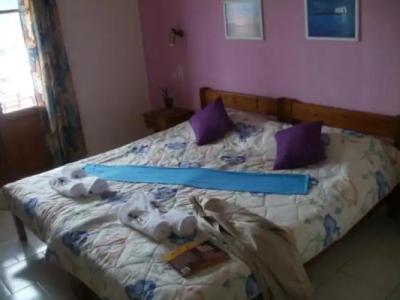 Pleoussa Studio and Apartments - 1