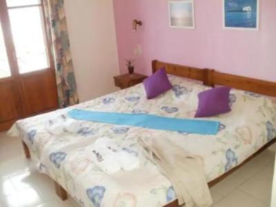 Pleoussa Studio and Apartments - 5