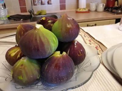 Borgo Monachella - 17