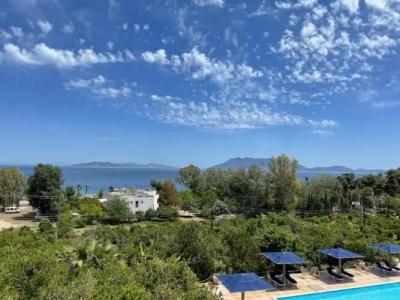 Aristotelis Studios - 33