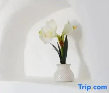 Strogili Traditional Houses - 82