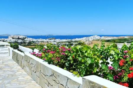 Petros Studios & Suites - 9