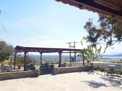 Petros Studios & Suites - 19