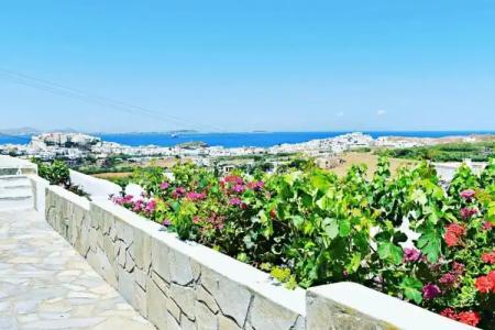 Petros Studios & Suites - 97