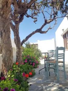 Petros Studios & Suites - 41