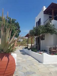 Petros Studios & Suites - 42