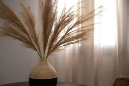 Petros Studios & Suites - 137