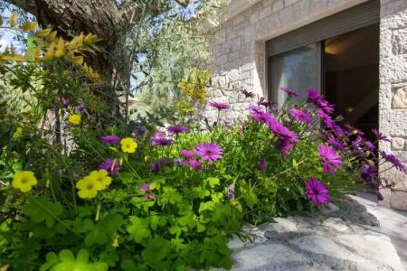 Anthemion Suites & Villas - 179