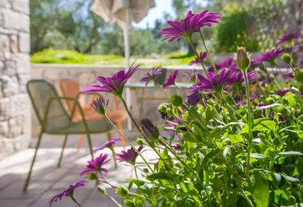 Anthemion Suites & Villas - 171