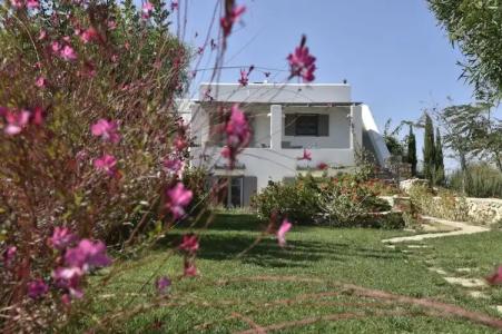 Naoussa Hills Boutique Resort - Adults Only - 343