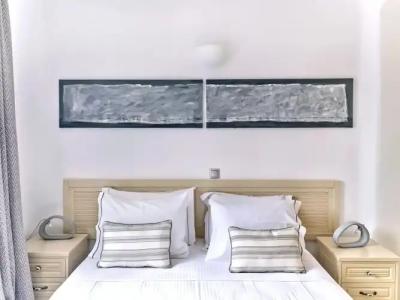 Naoussa Hills Boutique Resort - Adults Only - 323