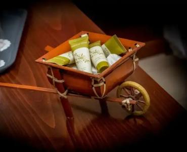 Apollo Resort Art - 115