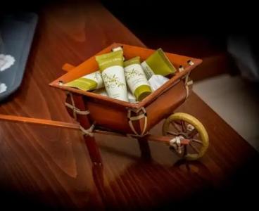 Apollo Resort Art - 106